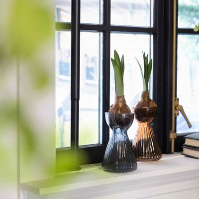 Esschert Design Esschert Blumenzwiebelvase gerippte Amaryllis
