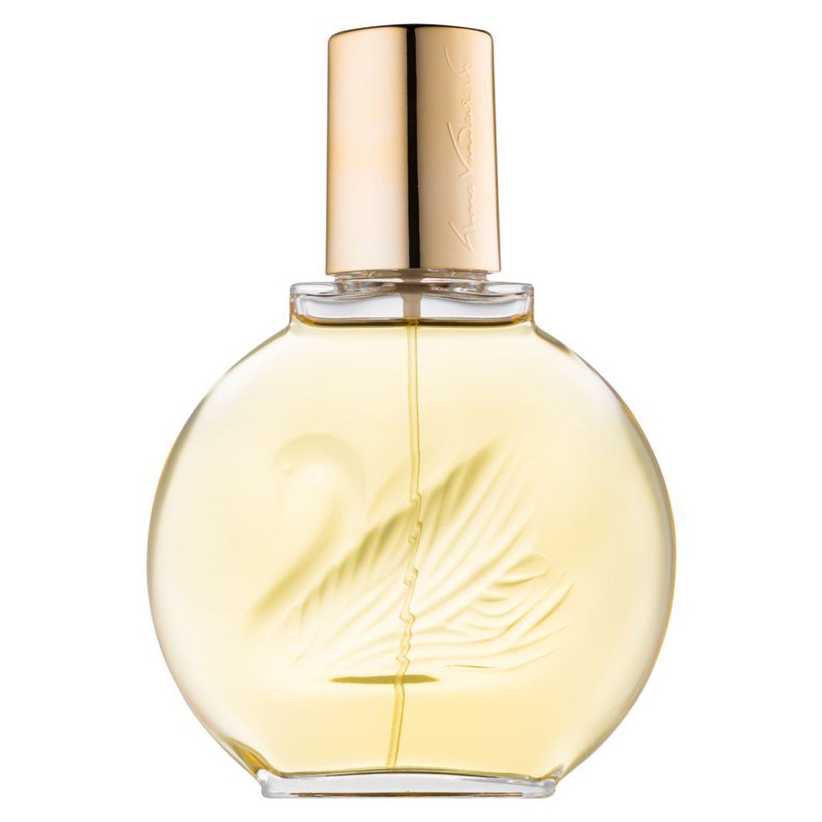 Gloria van der Bilt Eau de Toilette Spray 100ml Damen