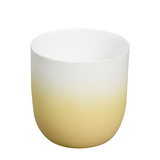Bolsius Teelichthalter Keramik Karamellgold 75 70mm - afbeelding 2