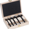 Bosch Zubehör Expert Holz-Forstnerbohrer-Set | 5 Stück - 2608901843