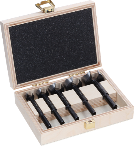 Bosch Zubehör Expert Holz-Forstnerbohrer-Set | 5 Stück - 2608901843