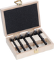 Bosch Zubehör Expert Holz-Forstnerbohrer-Set | 5 Stück - 2608901843