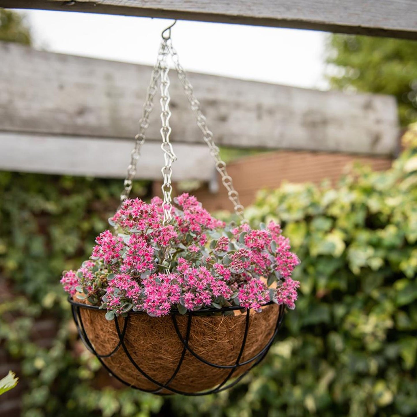 Esschert Design Kokoseinsatz 25cm