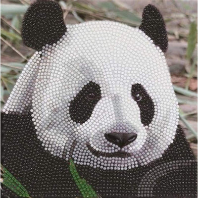 Diamantmalerei Karte Panda
