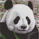 Diamantmalerei Karte Panda