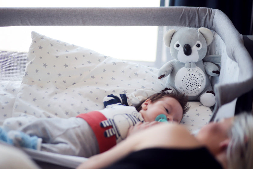 Chipolino Plüsch Baby Projektor Knuffelkoala mit Musiklicht