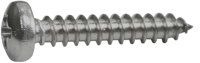 Connex Blechschraubenpfanne 2,9x16 30 Stück Edelstahl-A4 - dy4822916