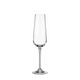 Crystal Bohemia Champagnerglas Ardea 220 ml 6 Stück