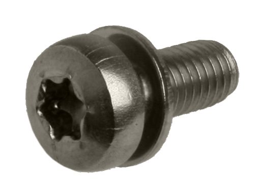 Anp-Schraube M5x12 Torx M-Platte Edelstahl DS A 25