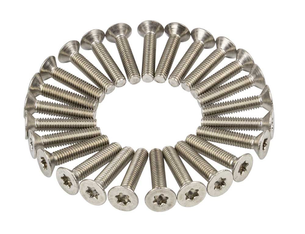 Anp-Schraube M4x20 Torx-Senkkopf ISO14581 DS A 25