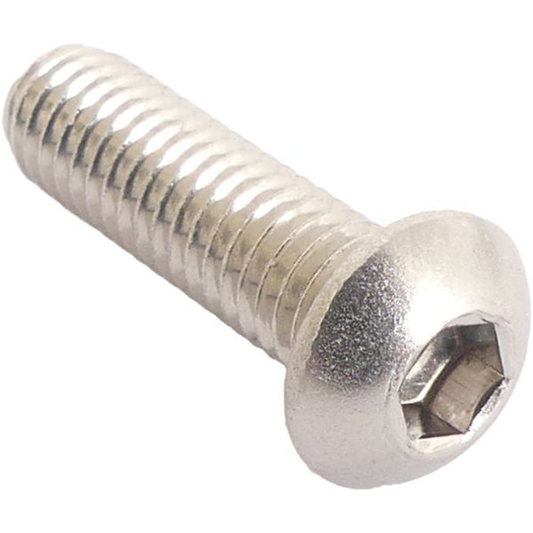 Bofix Bremsscheibe Bolt M6 Allen mit Glühbirnenkopf Edelstahl (10 Teile)