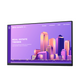 Dell Monitor p2422h 23,8 Zoll (ohne Ständer)