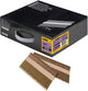 Dewalt-Zubehör, papiergebundene Nägel 3,1–90, gerade, verzinkt, 2,2 m – dnpt3190g12z