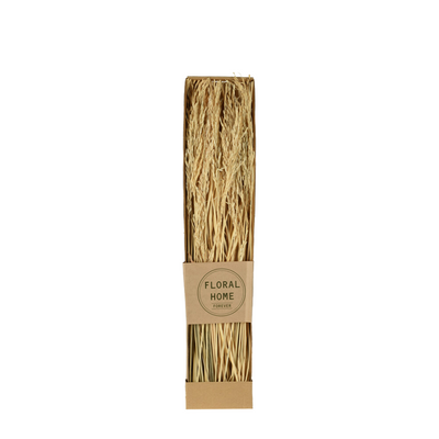 Trockenblumen Lagurus 60cm Bund
