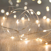 Tauben-Lichterkette LED 30 LEDs 300cm