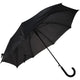 Regenschirm schwarz