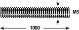 Connex-Gewindestange M5 1 m Edelstahl – dy250692 - afbeelding 2
