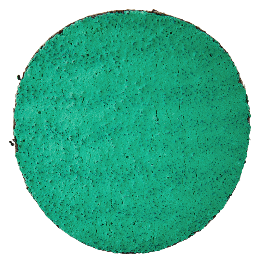 Makita Zubehör Schleifscheibe 50 mm Z60 – E-07440 E-07440