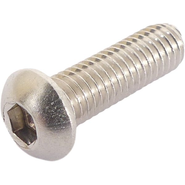 Bofix Bremsscheibe Bolt M6 Allen mit Glühbirnenkopf Edelstahl (10 Teile)