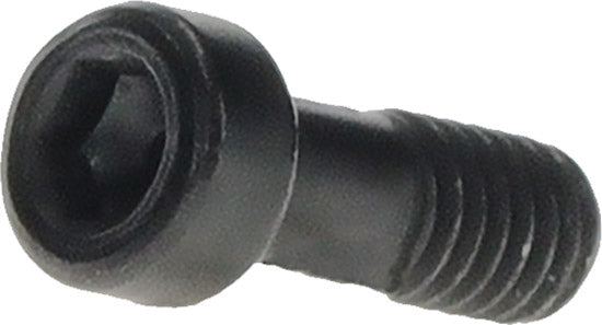 Bosch M4x10,5 Schraube für Purion 400