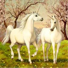 TOI-TOYS Diamond Painting eines Hundes