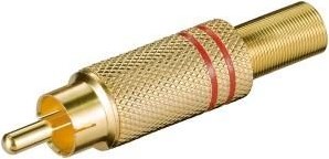 Enzo Tulpenstecker vergoldet rot 7097317