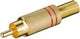 Enzo Tulpenstecker vergoldet rot 7097317