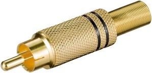 Enzo Tulpenstecker vergoldet schwarz 7097319