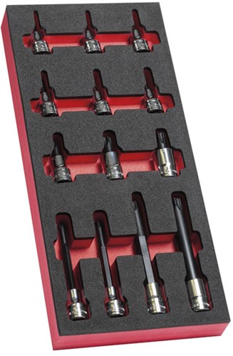 Facom-Modul-Schraubendrehereinsätze 1 2 Torx – modm.sxm