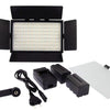 Falcon Eyes Bi-Color LED-Lampe Set DV-384CT-K2 Inkl