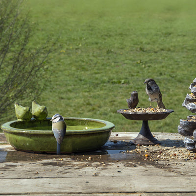 Am besten für Vögel Vogelbad um Keramikgrün