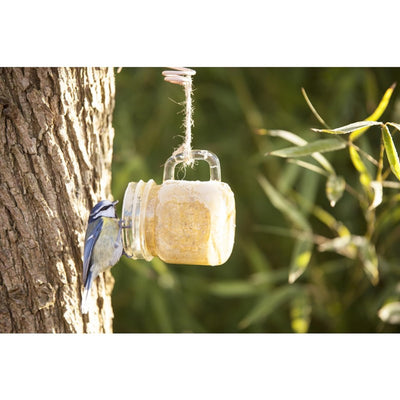 Am besten für Vögel Erdnussbutter in Tuinmok Asorti