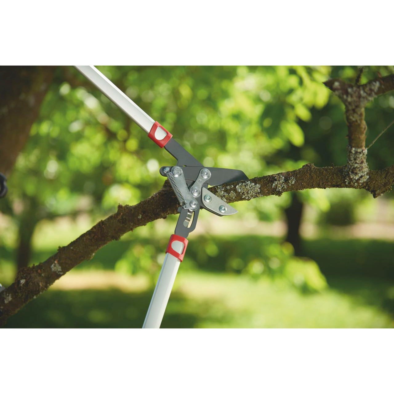 Wolf-Garten-Schnitt Rs 800 V
