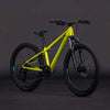 Cube Acid 240 Disc lizard'n'blue