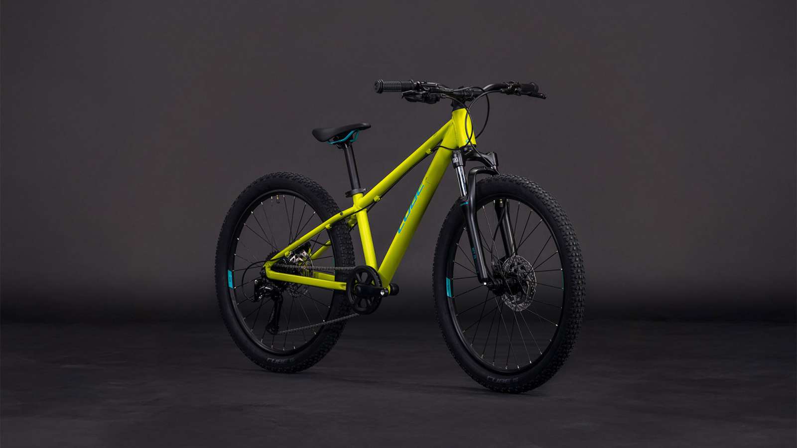 Cube Acid 240 Disc lizard'n'blue