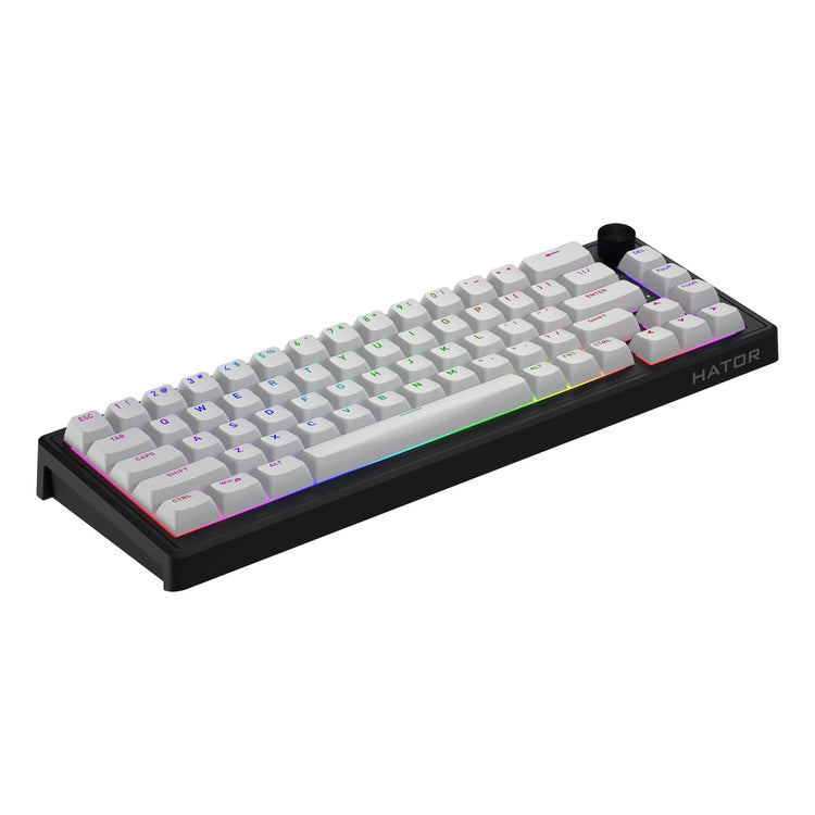 Hator Skyfall Mag Ultra 8K, Gaming-Tastatur (Schwarz, US-Layout, Hator Aurum Ice, 65 %, RGB, Double-Shot PBT, Hot-Swap)