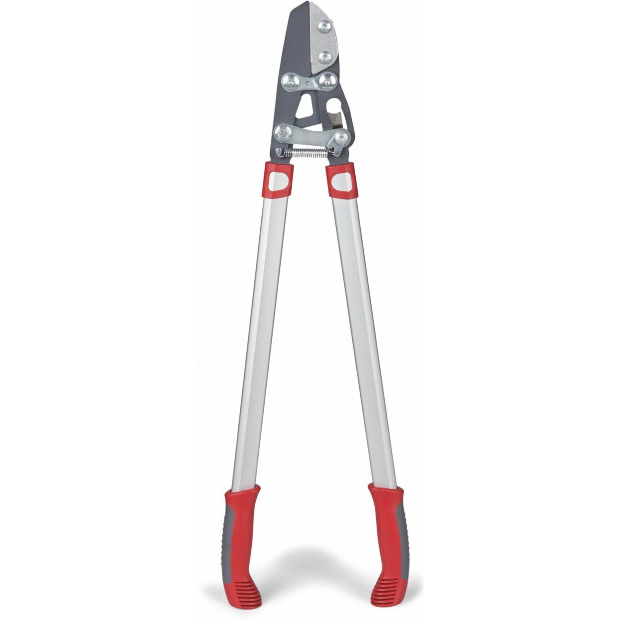 Wolf-Garten-Schnitt Rs 800 V