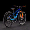 Cube Acid 260 Disc Action Team
