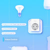 TP-Link TAPO P100 Mini Wifi Steckdose (2er Pack)