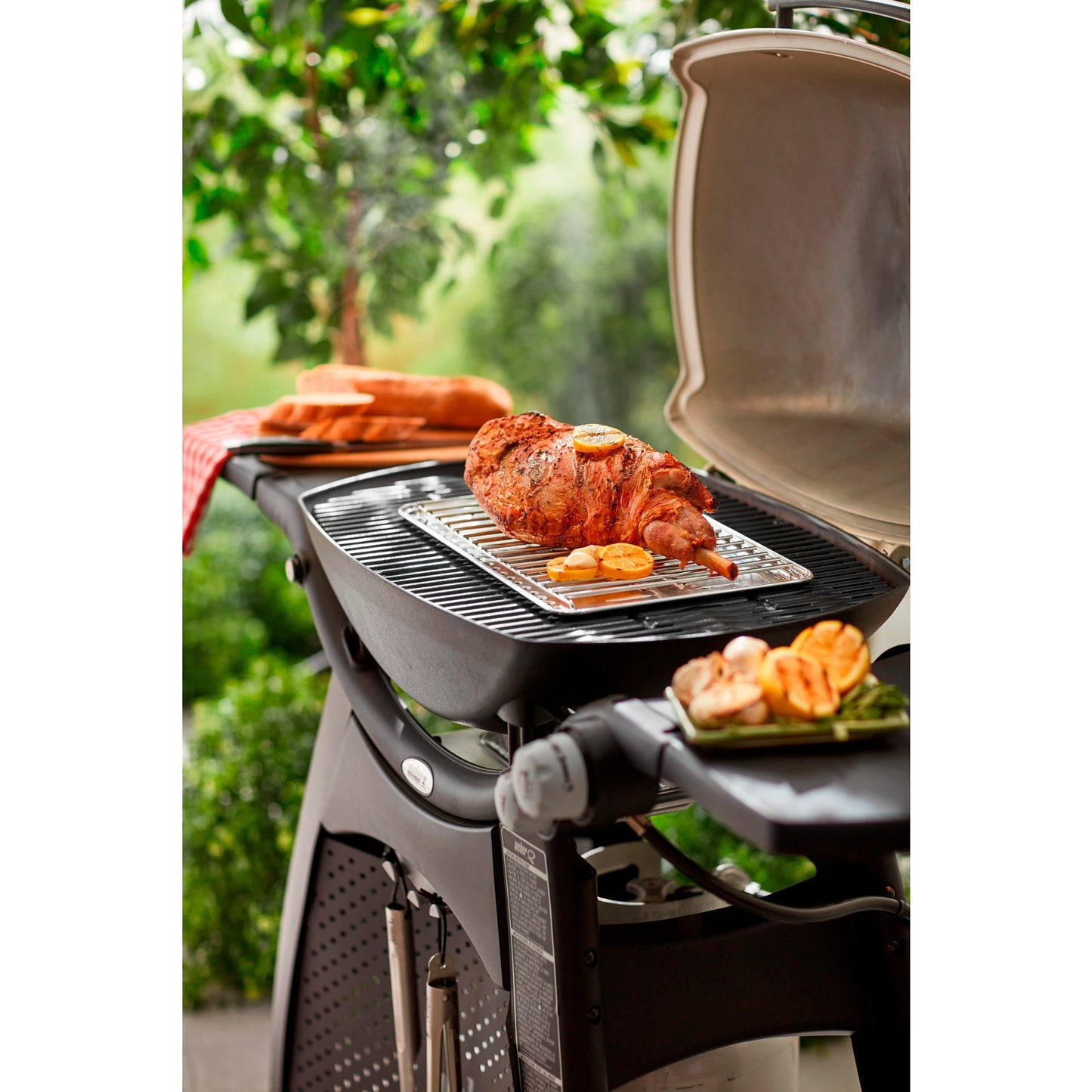 Weber Grill Rooster 200 2000 300 3000 Serie