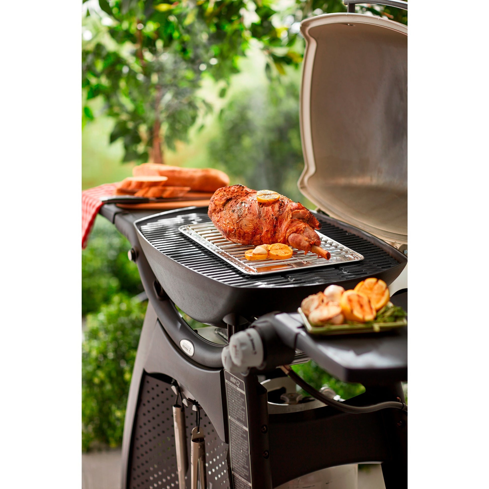 Weber Grill Rooster 200 2000 300 3000 Serie