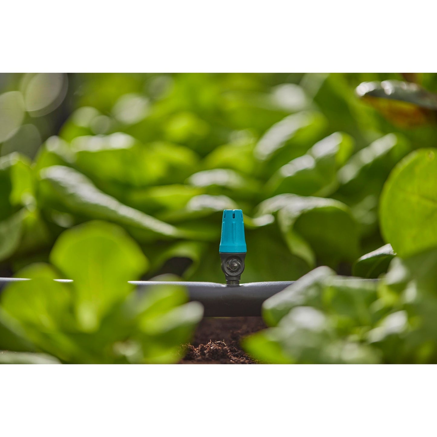 Gardena Sprayer für kleine Oberflächen