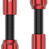 Lezyne CNC Tubeless-Ventile