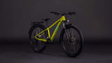 Cube Acid 260 Disc Fe Lizard'n'Blue - afbeelding 2