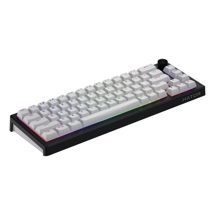 Hator Skyfall Wireless, Gaming-Tastatur (schwarz, US-Layout, Hator Aurum Sterling, 65 %, RGB, Double Shot ABS, Hot-Swap, 2,4 GHz Bluetooth USB-C)