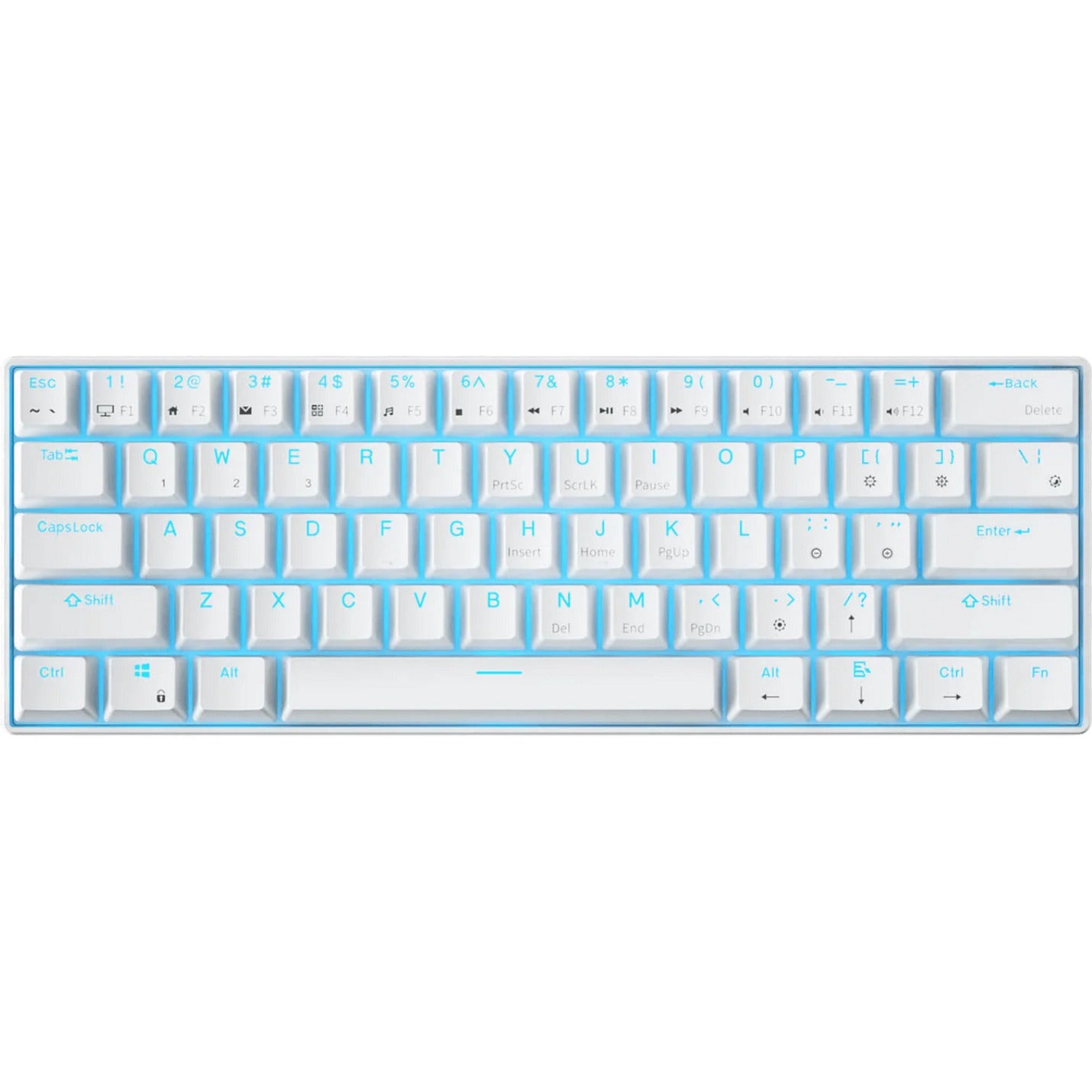 Royal Kludge RK61 kabellose mechanische Tastatur, Gaming-Tastatur (weiß, US-Layout, brauner Schalter, 60 %, RGB, Hot-Swap, 2,4 GHz USB-C Bluetooth)