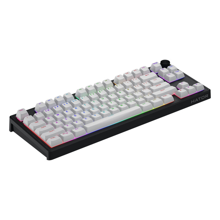 Hator Skyfall Mag Ultra 8K, Gaming-Tastatur (Schwarz, US-Layout, Hator Aurum Ice, 80 % (TKL), RGB, Double-Shot PBT, Hot-Swap)