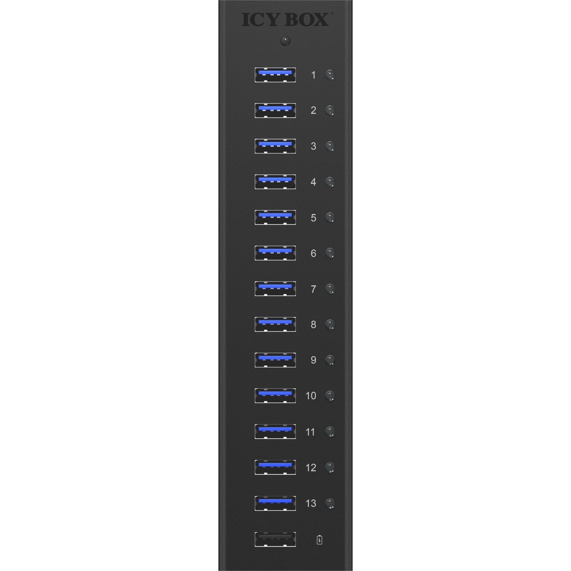 Icy Box IB-AC6113