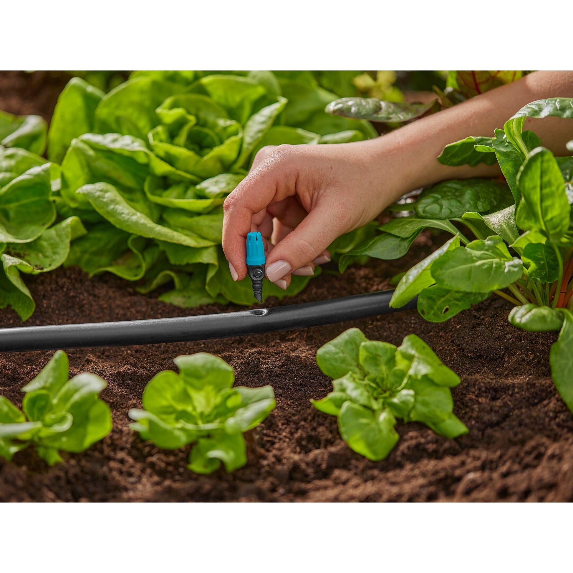 Gardena Sprayer für kleine Oberflächen
