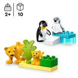 Lego Lego Duplo Town 10442 Familien wilder Tiere: Pinguine und Leeuwen - afbeelding 3